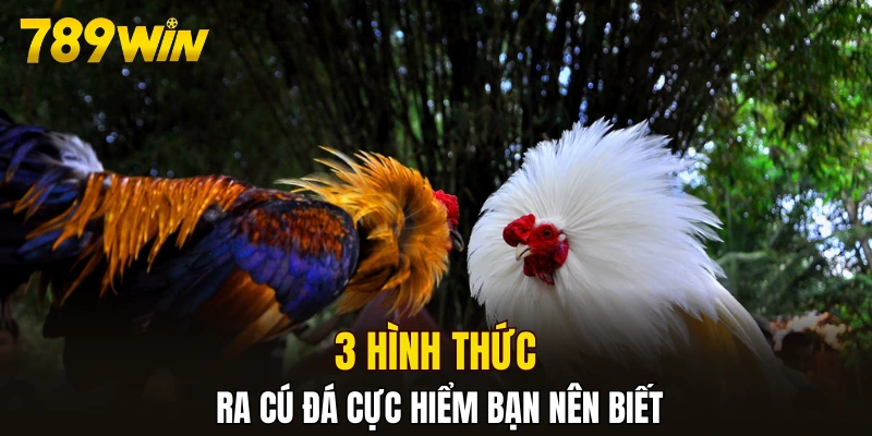 3 hình thức ra cú đá cực hiểm bạn nên biết