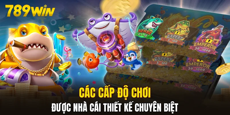 Các cấp độ chơi được nhà cái thiết kế chuyên biệt