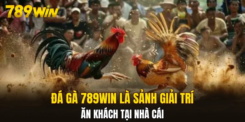 Đá gà 789WIN là sảnh giải trí ăn khách tại nhà cái