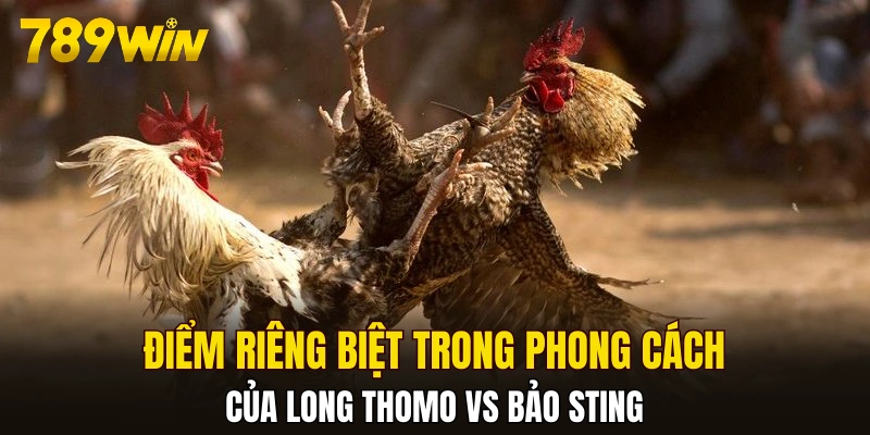 Điểm riêng biệt trong phong cách Long Thomo vs Bảo Sting