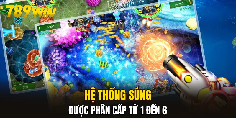 Hệ thống súng được phân cấp từ 1 đến 6