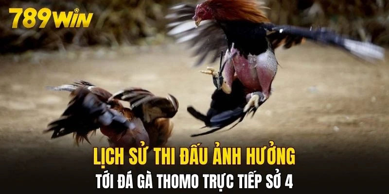 Lịch sử thi đấu ảnh hưởng đá gà Thomo trực tiếp sở 4