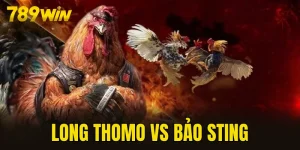 Long Thomo vs Bảo Sting