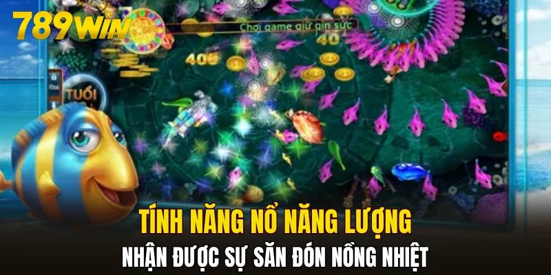 Tính năng nổ năng lượng nhận được sự săn đón nồng nhiệt